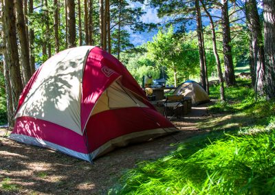 Camping en el Valle de Hecho Pirineos en una pradera de hierba natural: parcelas de diferentes tipos en el bosque entre pinos y hayas
