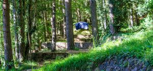 Camping en el Valle de Hecho Pirineos en una pradera de hierba natural: parcelas de diferentes tipos en el bosque entre pinos y hayas, en terrazas delimitadas