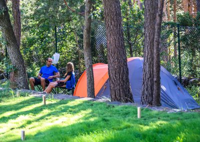 Camping en el Valle de Hecho Pirineos en una pradera de hierba natural: parcelas de diferentes tipos en el bosque entre pinos y hayas, en terrazas delimitadas