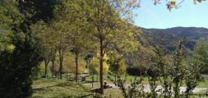 Borda Bisaltico (Valle de Hecho) en otoño