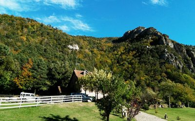 Los colores del otoño visten nuestro Pirineo