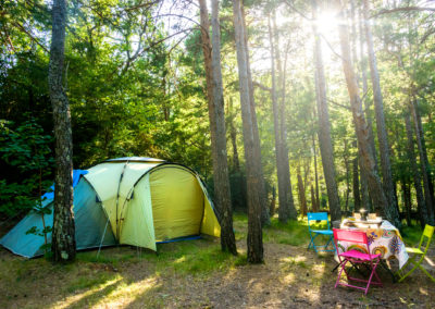 Parcelas en el bosque. Abraza a los árboles.Camping Borda Bisaltico. Valle de Hecho